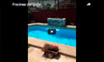 Proyecto Maipu Piscinas del Valle